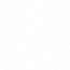 Disposable Gloves